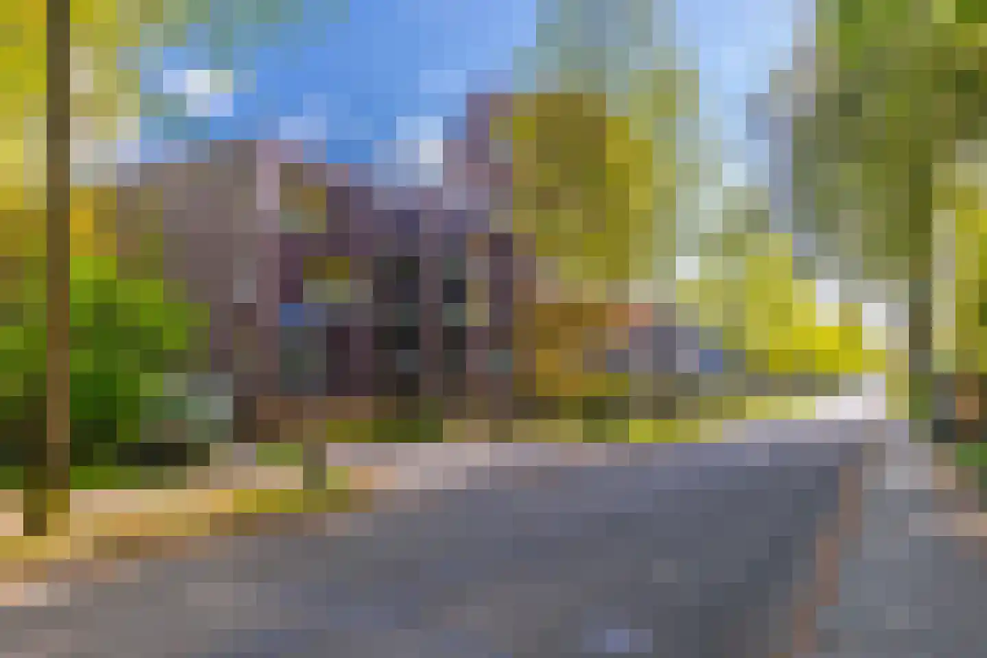 Graaf van Rechterenweg 53 28 Oosterbeek thumbnail 5