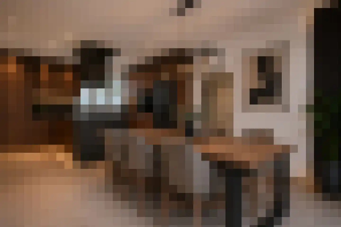 Graaf van Solmsstraat 2 Mijdrecht thumbnail 23