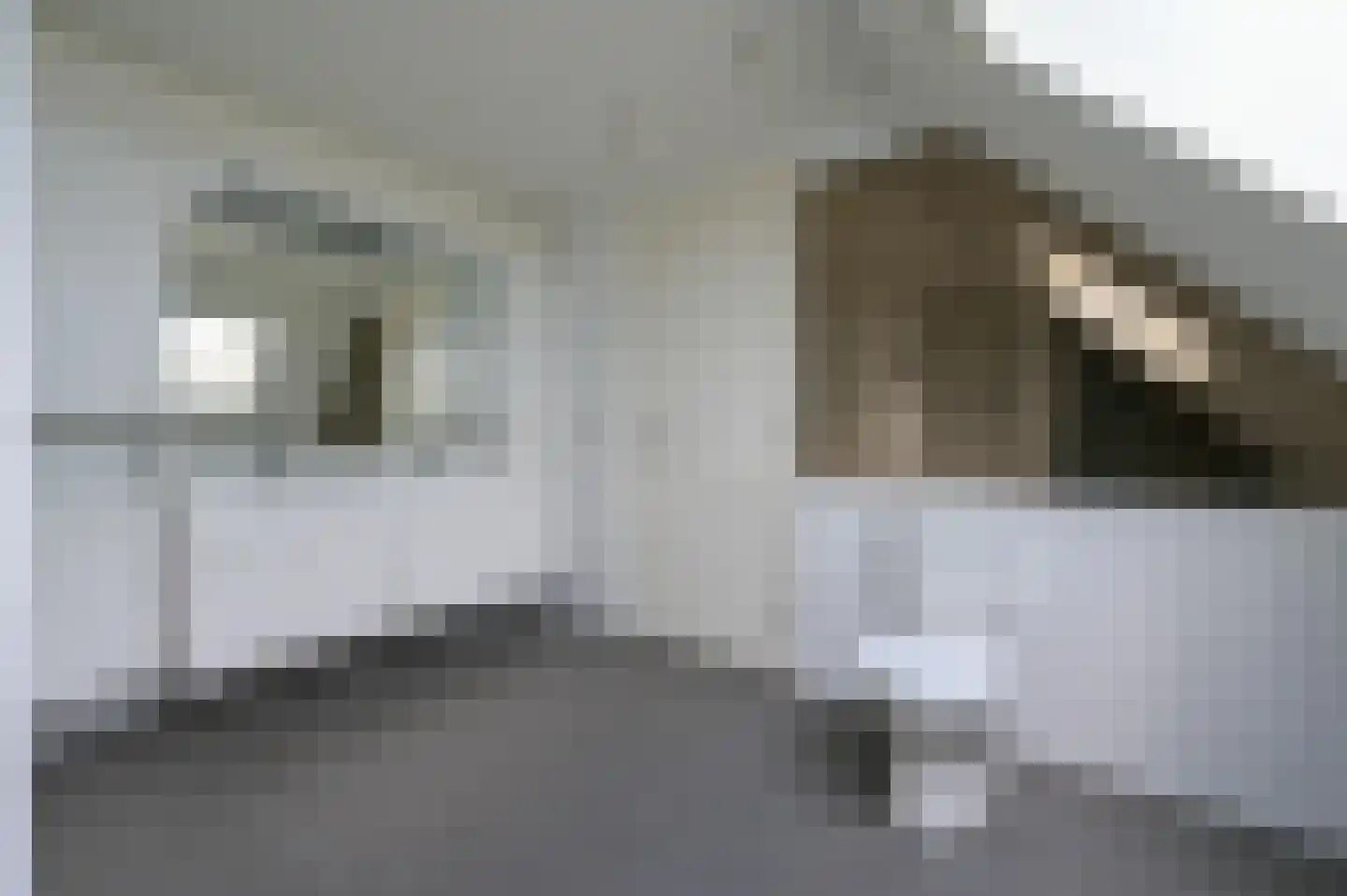 Graaf van Solmsstraat 2 Mijdrecht thumbnail 37