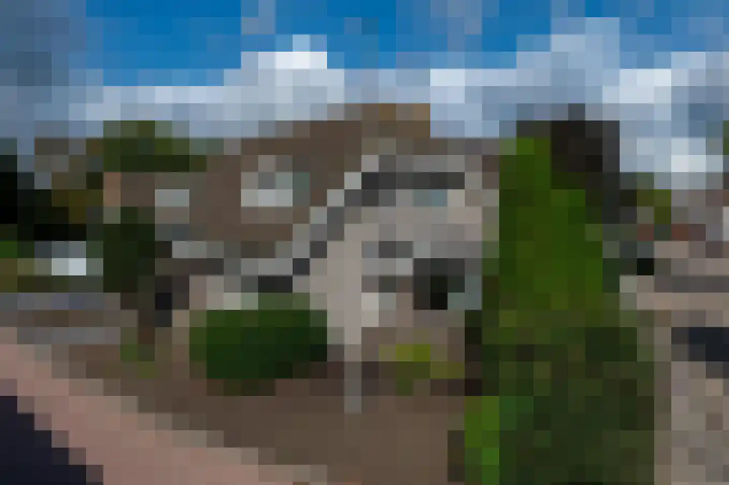 Graaf van Solmsstraat 2 Mijdrecht thumbnail 4