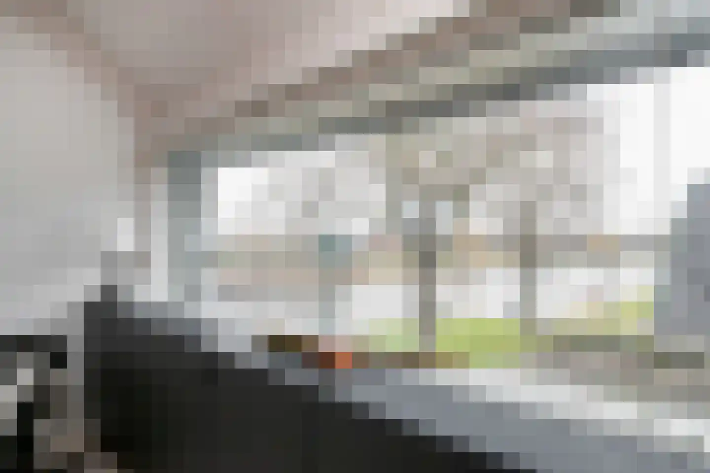Graaf van Solmsweg 85 's-Hertogenbosch thumbnail 12