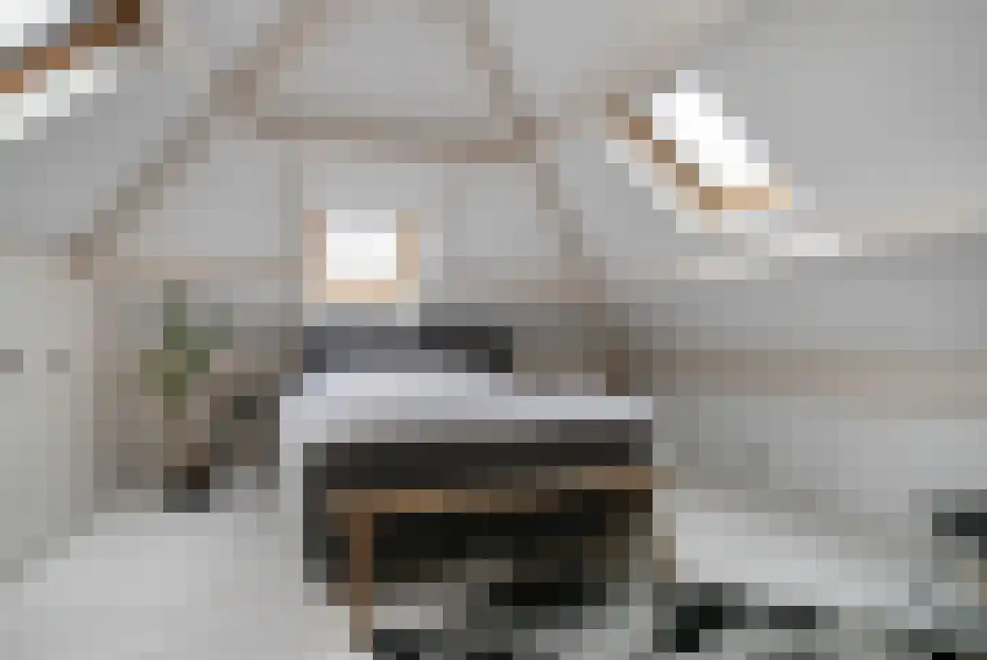 Graaf van Solmsweg 85 's-Hertogenbosch thumbnail 20
