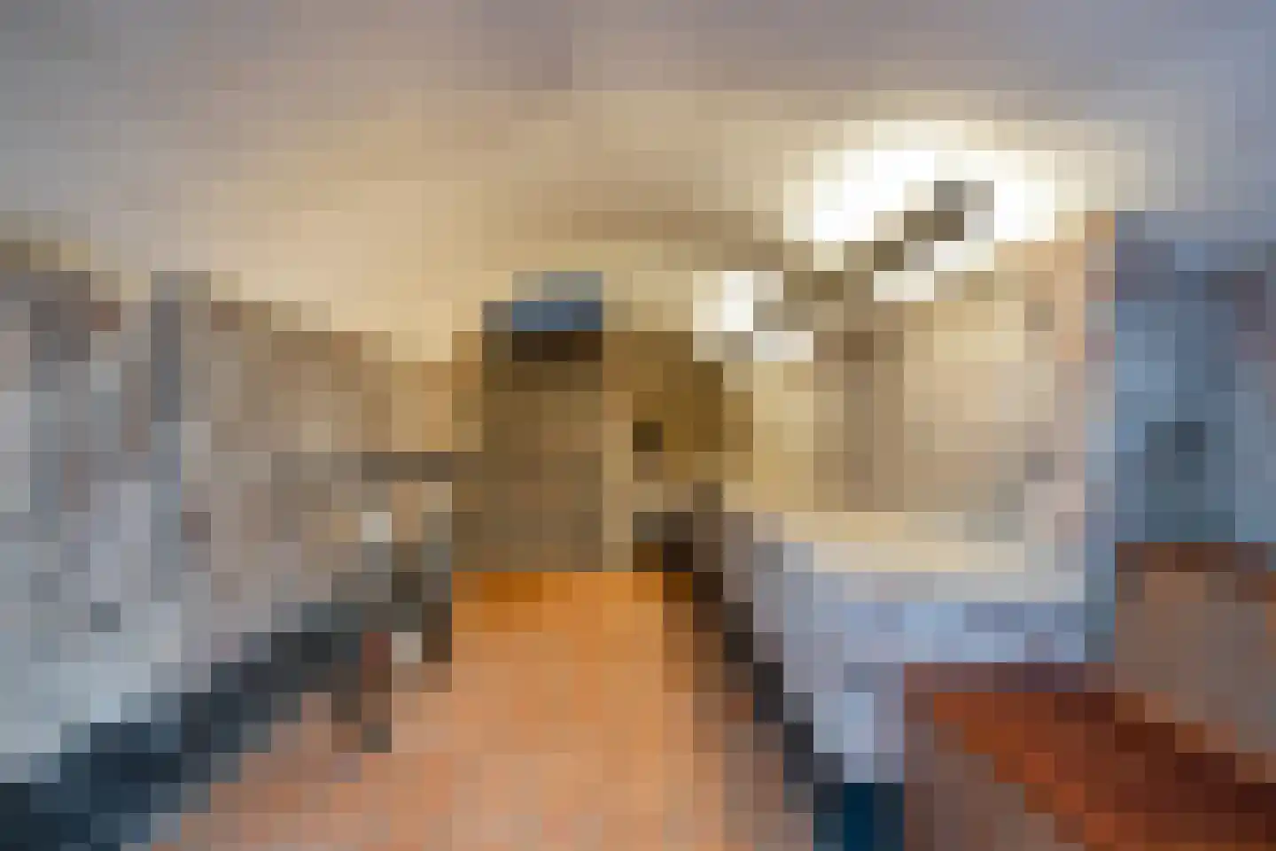Graaf van Solmsweg 85 's-Hertogenbosch thumbnail 24