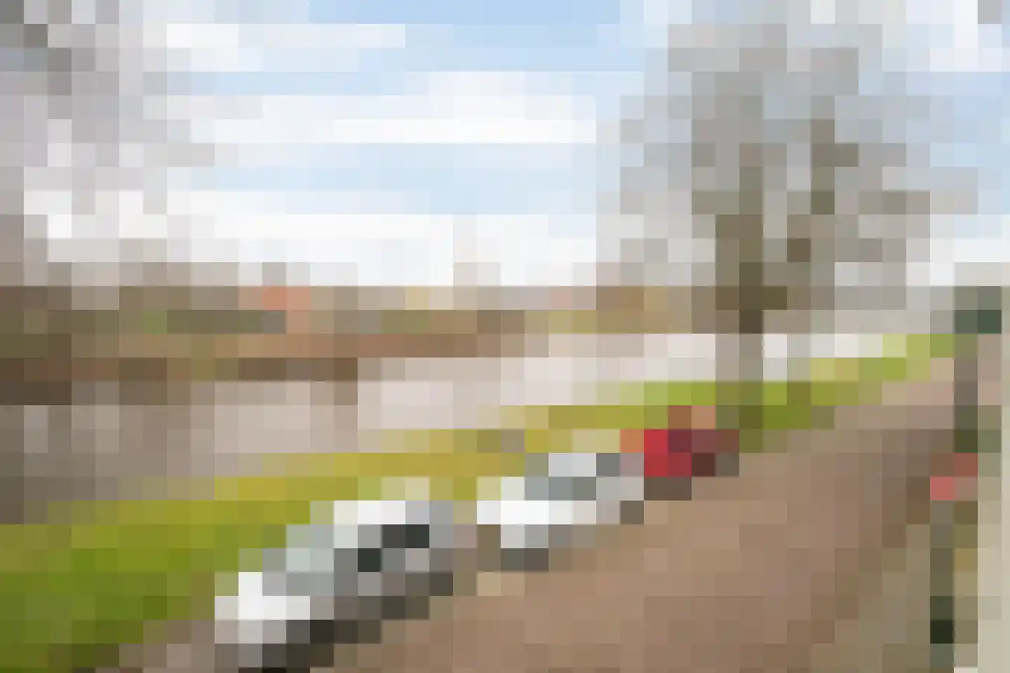 Graaf van Solmsweg 85 's-Hertogenbosch thumbnail 25