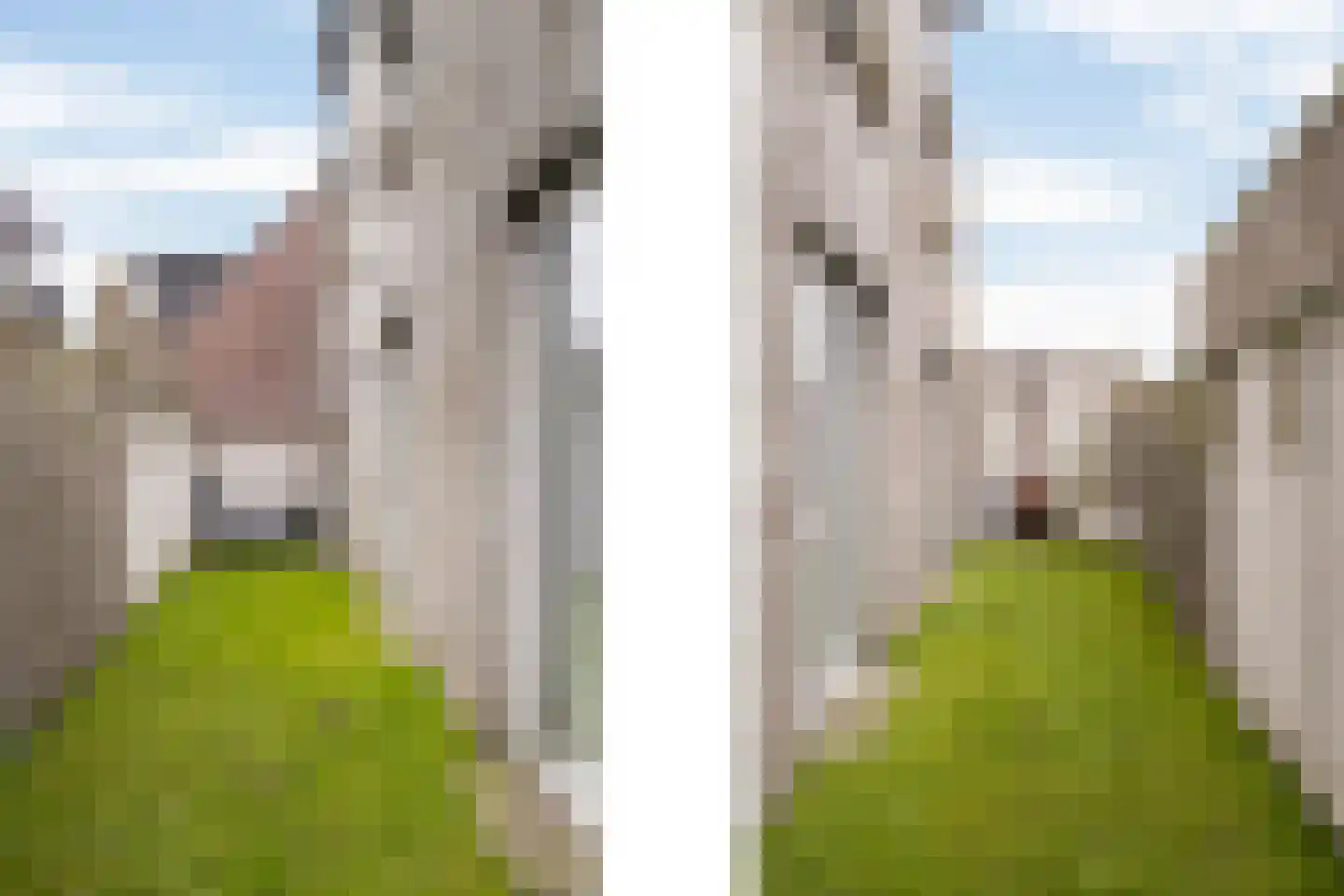 Graaf van Solmsweg 85 's-Hertogenbosch thumbnail 26