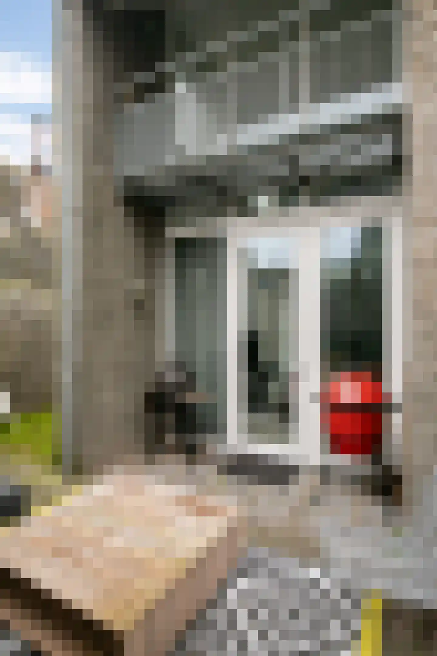 Graaf van Solmsweg 85 's-Hertogenbosch thumbnail 31