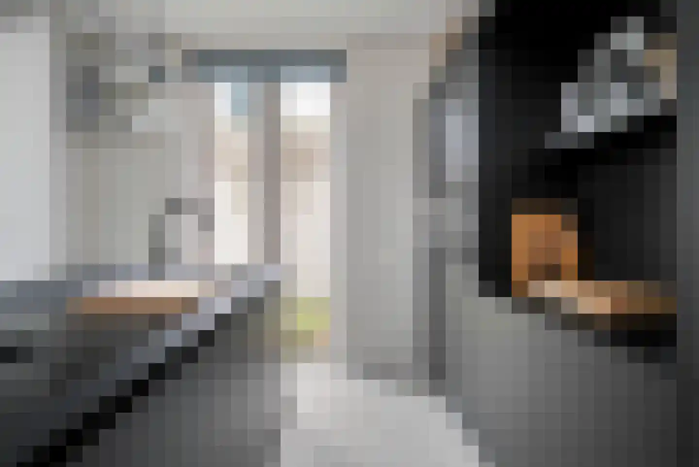 Graaf van Solmsweg 85 's-Hertogenbosch thumbnail 36