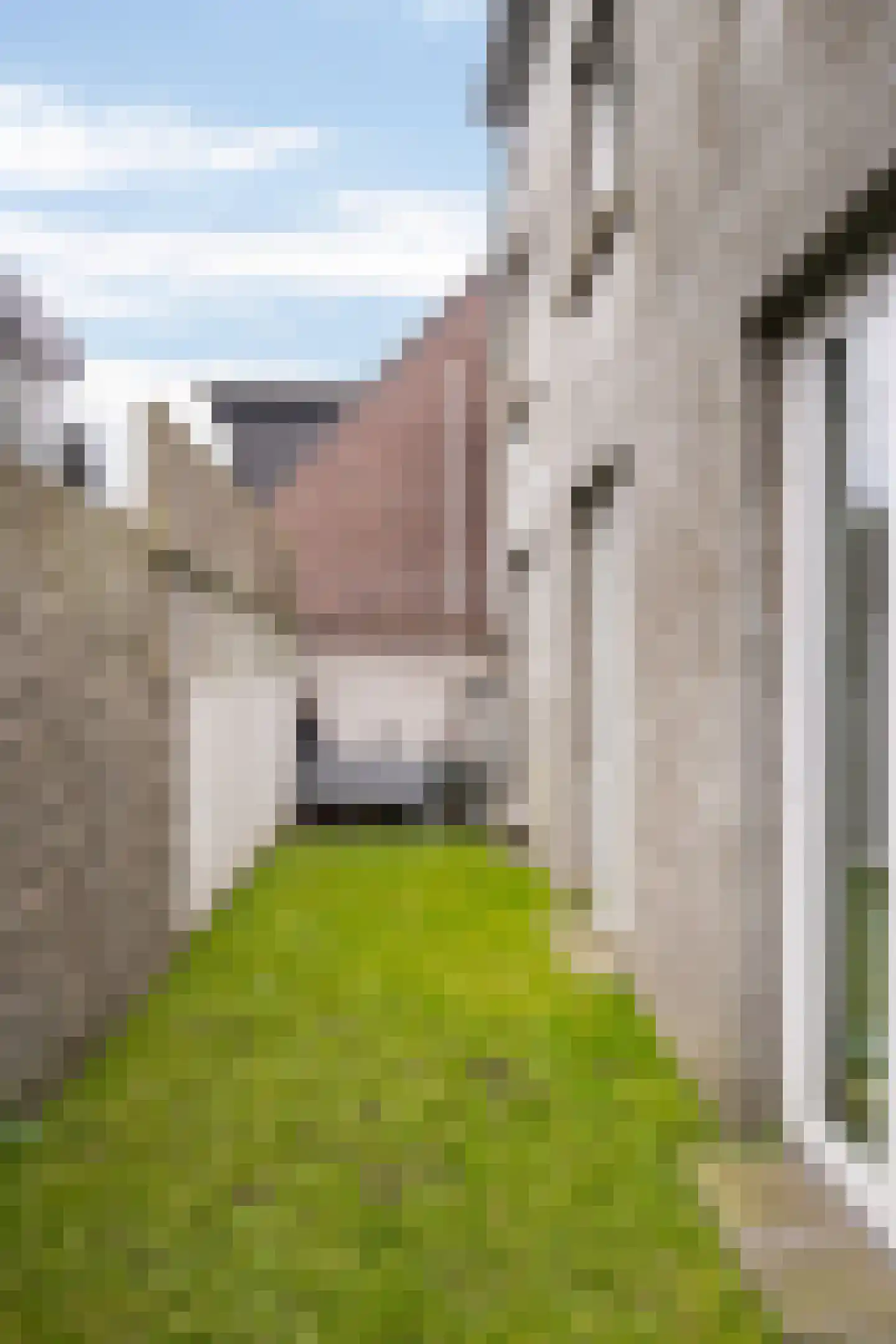 Graaf van Solmsweg 85 's-Hertogenbosch thumbnail 37