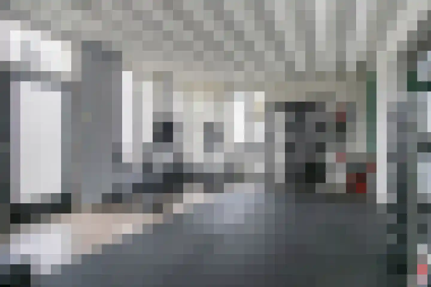 Graaf van Solmsweg 85 's-Hertogenbosch thumbnail 39