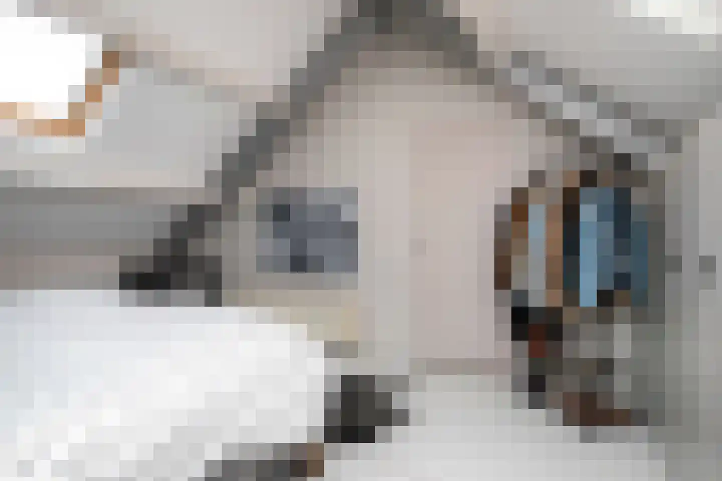 Graaf van Solmsweg 85 's-Hertogenbosch thumbnail 51