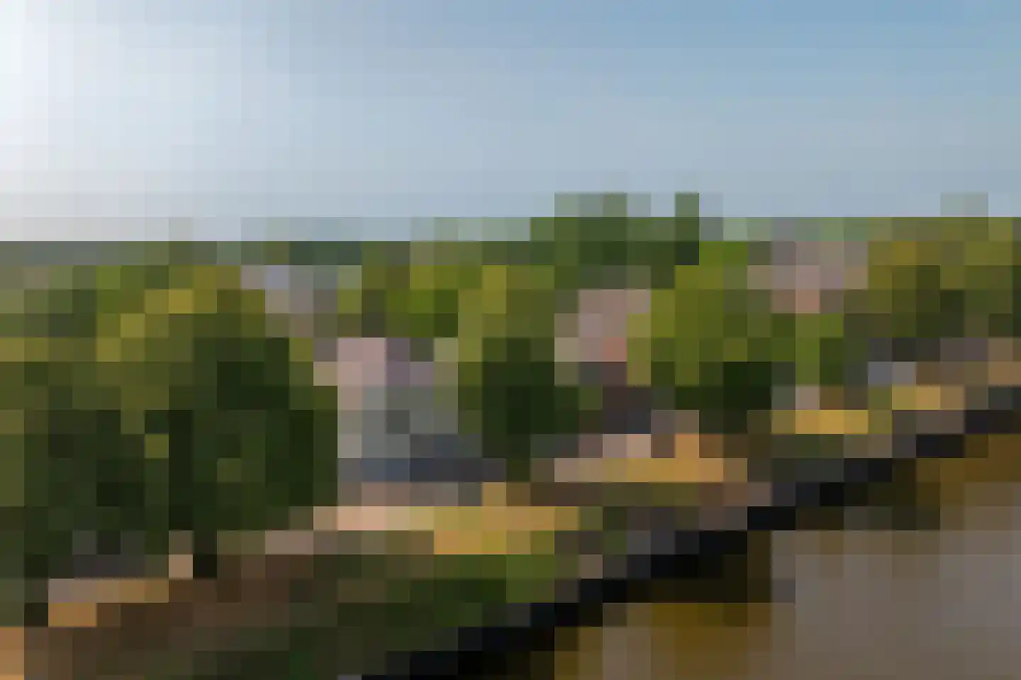 Graaf van Solmsweg 85 's-Hertogenbosch thumbnail 6