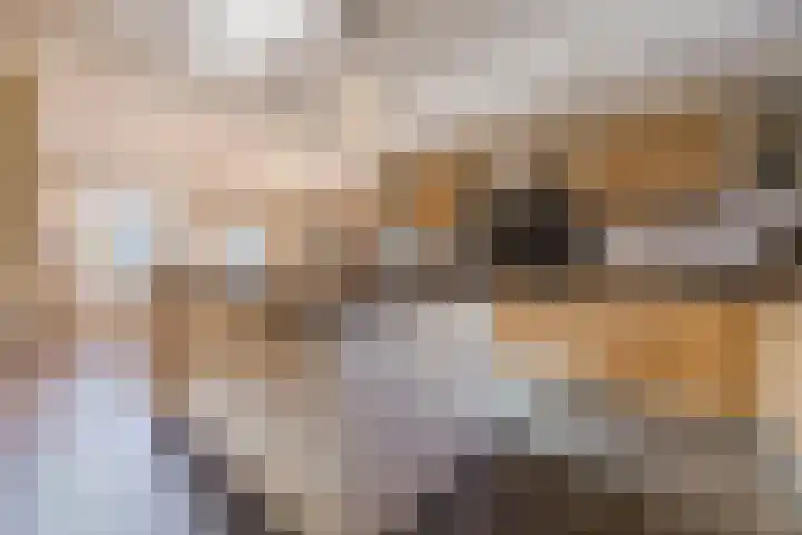 Graaf van Vlaanderenstraat 16 Philippine thumbnail 21