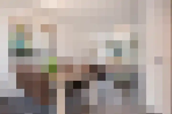 Graaf van Wassenbergstraat 11 Linne thumbnail 11