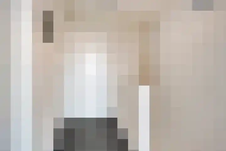 Graaf van Wassenbergstraat 11 Linne thumbnail 16
