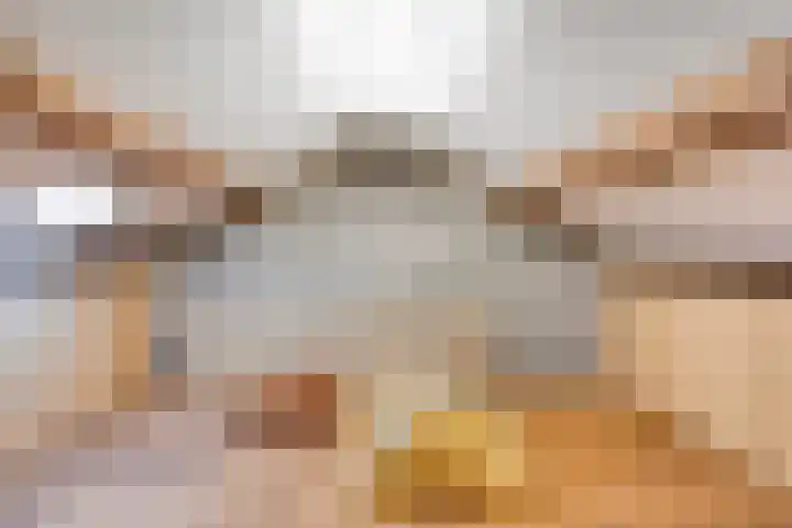 Graaf van Wassenbergstraat 11 Linne thumbnail 24