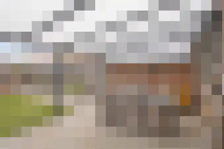 Graaf van Wassenbergstraat 11 Linne thumbnail 25