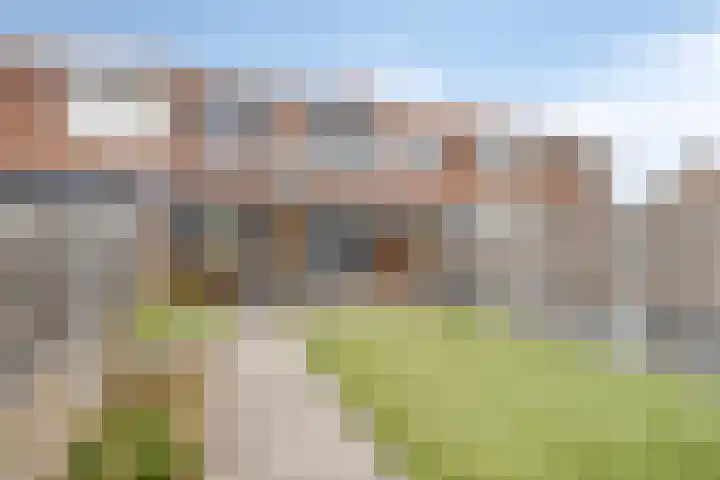 Graaf van Wassenbergstraat 11 Linne thumbnail 29