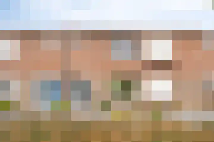 Graaf van Wassenbergstraat 11 Linne thumbnail 33