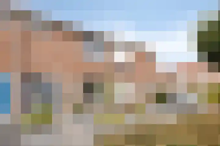 Graaf van Wassenbergstraat 11 Linne thumbnail 42