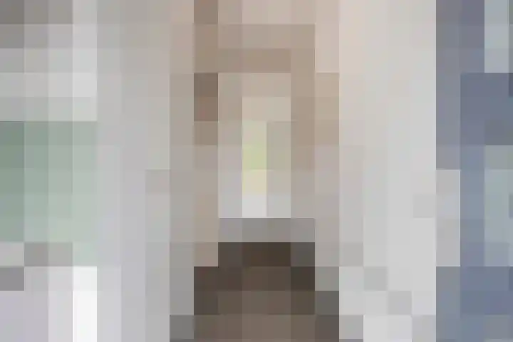 Graaf van Wassenbergstraat 11 Linne thumbnail 5