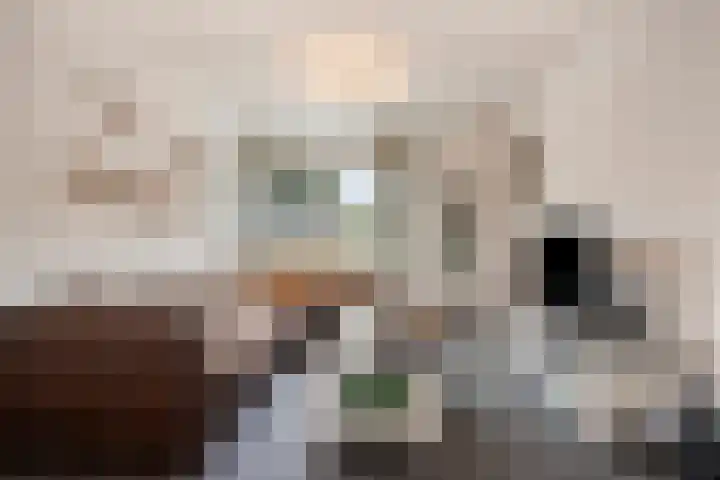 Graaf van Wassenbergstraat 11 Linne thumbnail 7