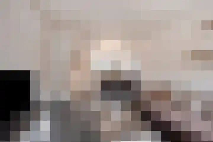 Graaf van Wassenbergstraat 11 Linne thumbnail 9