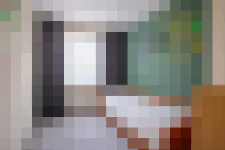 Graaf van Wassenbergstraat 4 Linne thumbnail 13
