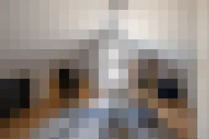 Graaf van Wassenbergstraat 4 Linne thumbnail 16