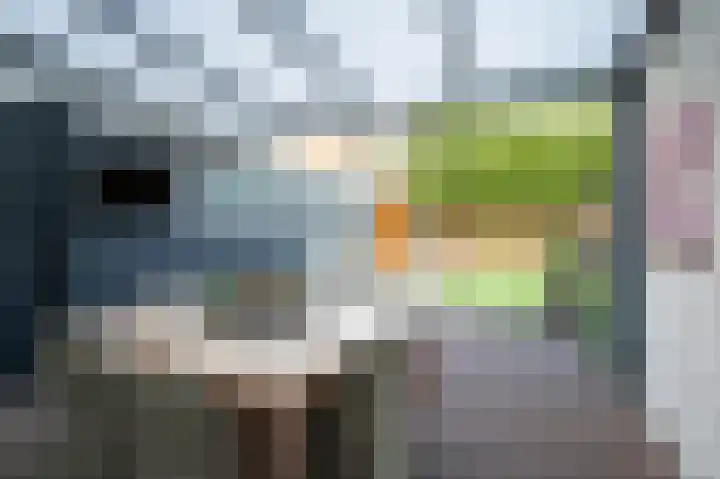 Graaf van Wassenbergstraat 4 Linne thumbnail 17
