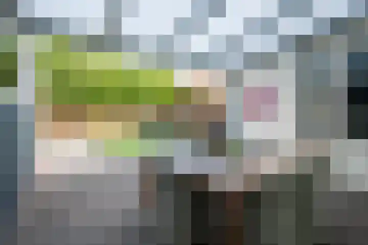 Graaf van Wassenbergstraat 4 Linne thumbnail 18