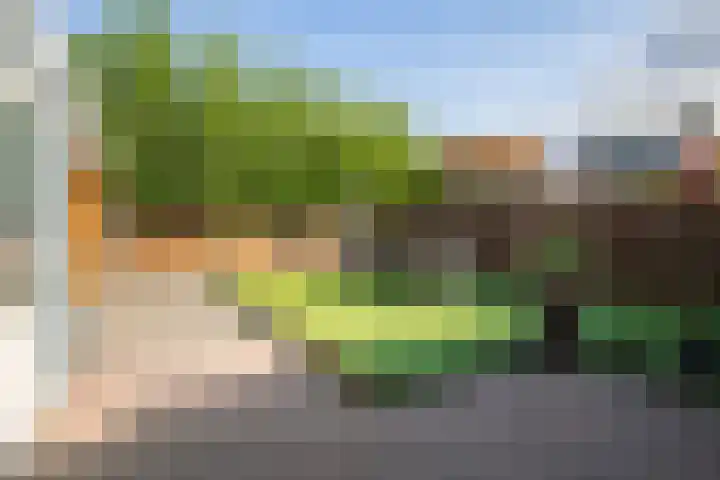 Graaf van Wassenbergstraat 4 Linne thumbnail 19
