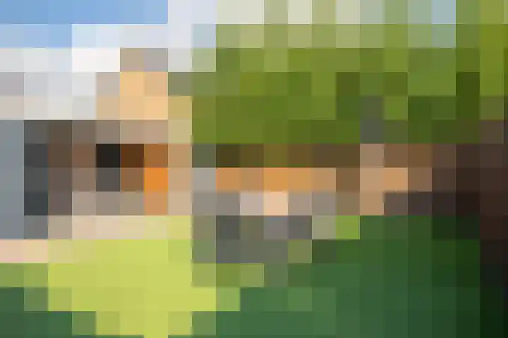 Graaf van Wassenbergstraat 4 Linne thumbnail 20