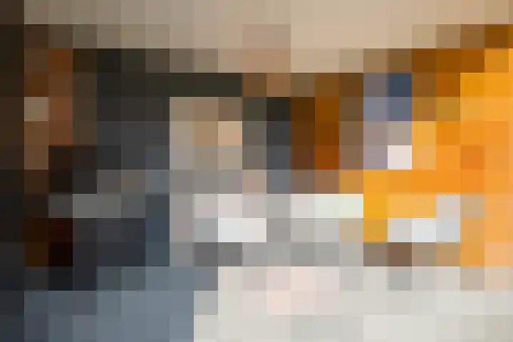Graaf van Wassenbergstraat 4 Linne thumbnail 21