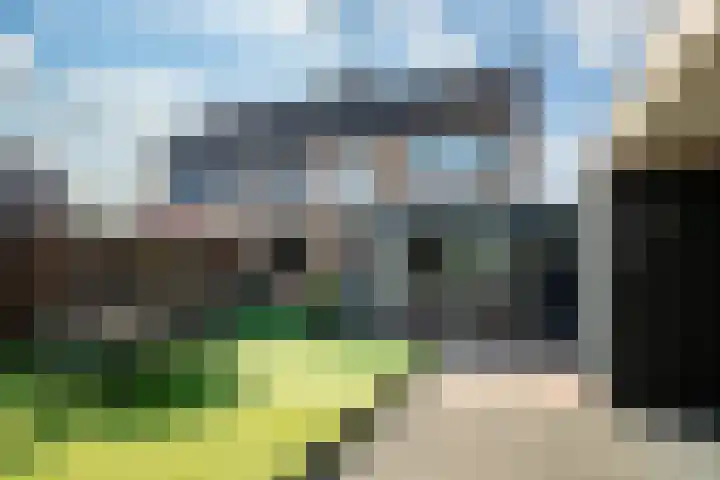 Graaf van Wassenbergstraat 4 Linne thumbnail 22