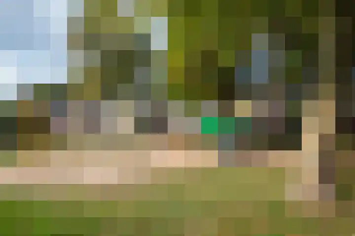 Graaf van Wassenbergstraat 4 Linne thumbnail 23