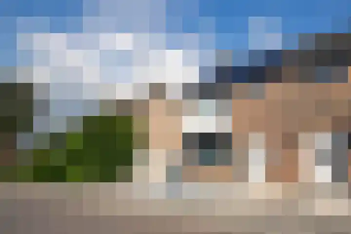 Graaf van Wassenbergstraat 4 Linne thumbnail 25