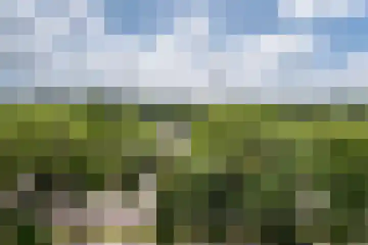 Graaf Walramlaan 51 Vlaardingen thumbnail 26