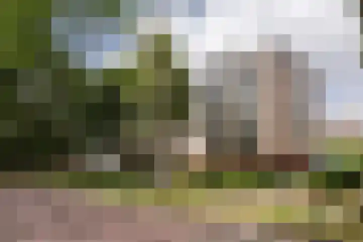 Graaf Walramlaan 51 Vlaardingen thumbnail 42