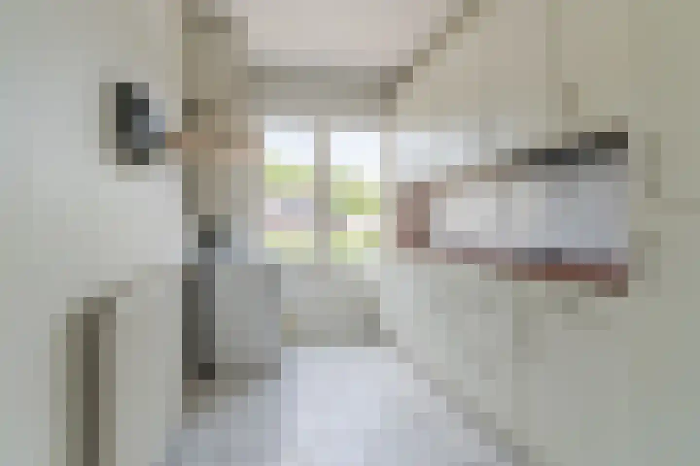 Graaf Waltgerlaan 23 Tiel thumbnail 11