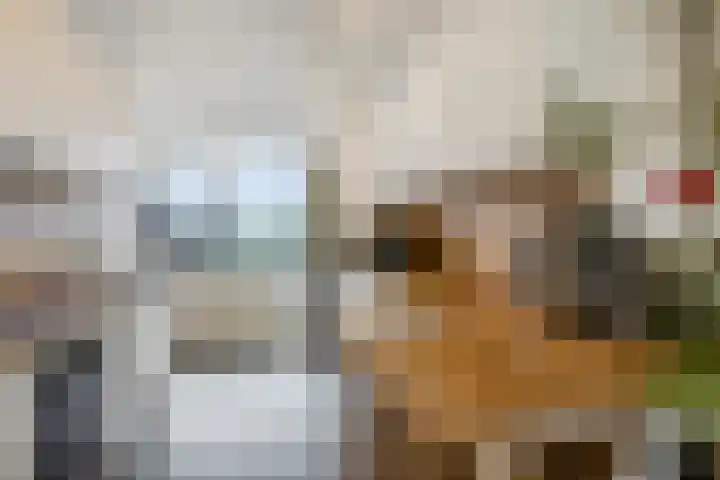 Graaf Waltgerlaan 28 Tiel thumbnail 10