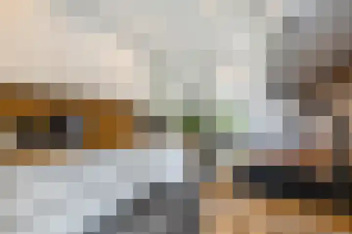Graaf Waltgerlaan 28 Tiel thumbnail 11