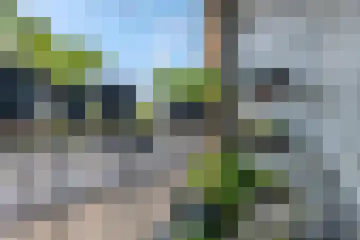 Graaf Waltgerlaan 28 Tiel thumbnail 18