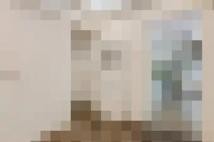 Graaf Waltgerlaan 28 Tiel thumbnail 20