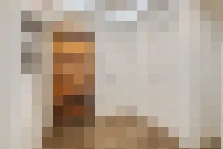 Graaf Waltgerlaan 28 Tiel thumbnail 22