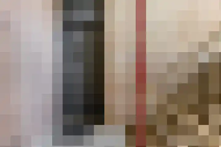 Graaf Waltgerlaan 28 Tiel thumbnail 23