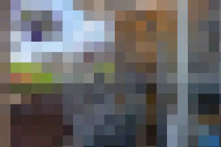 Graaf Waltgerlaan 28 Tiel thumbnail 5