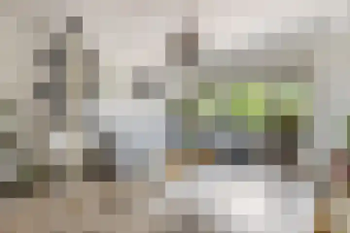 Graaf Waltgerlaan 28 Tiel thumbnail 7