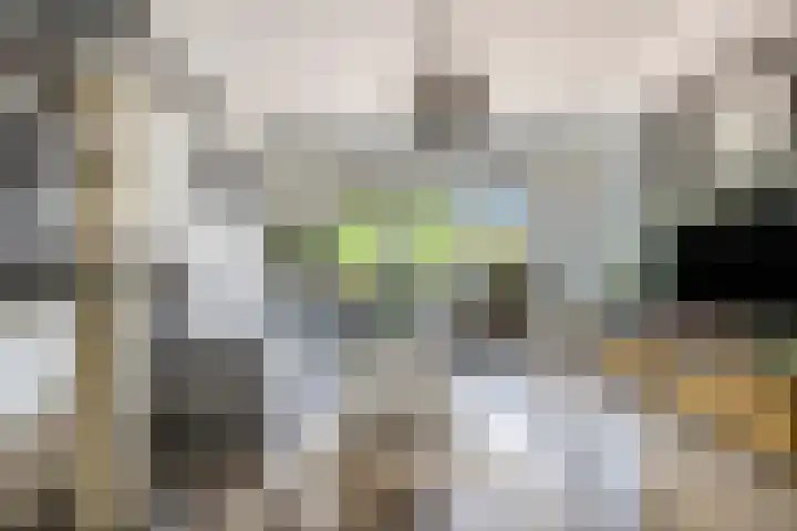 Graaf Waltgerlaan 28 Tiel thumbnail 9