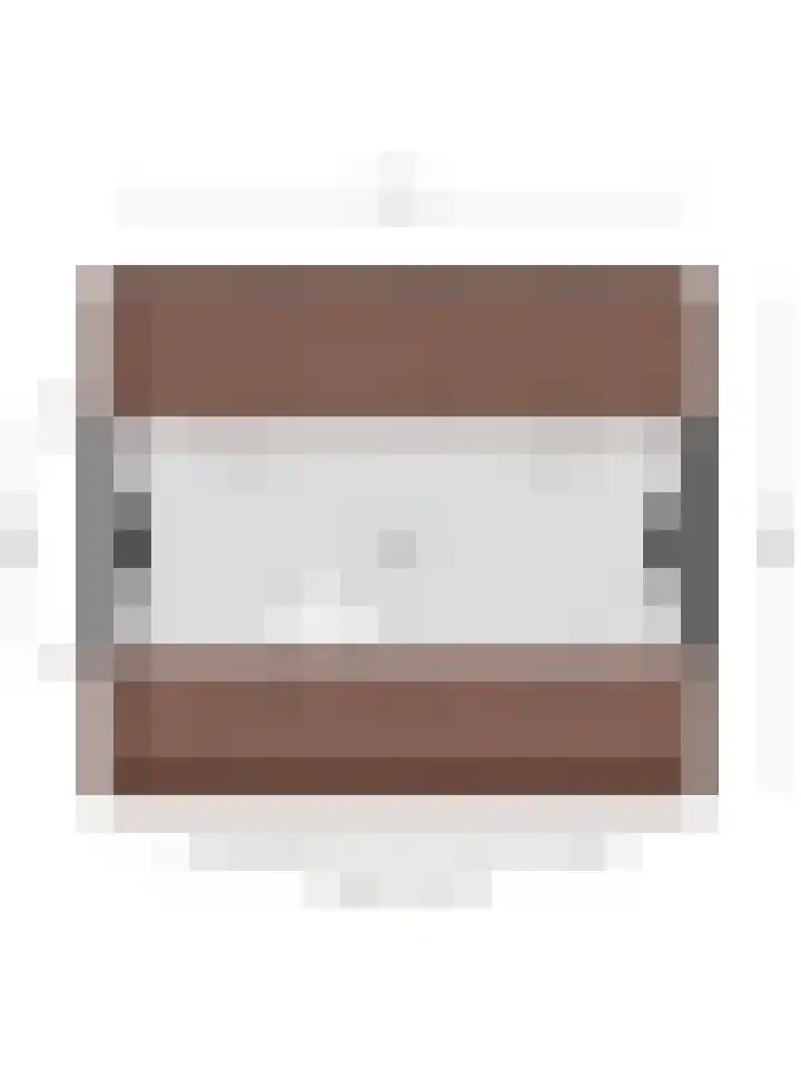 Graaf Wernerstraat 10 Heeswijk-Dinther thumbnail 38