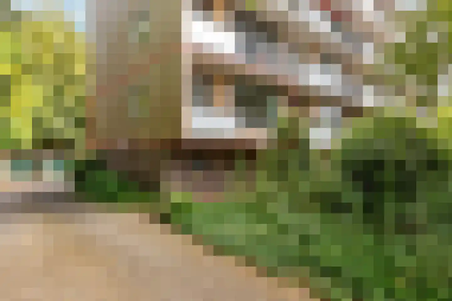 Graaf Wichmanlaan 13 A A1 Bussum thumbnail 25